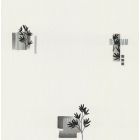 Papier Peint Expansé sur Papier - Feuille zen - Beige