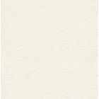 Papier Peint Expansé sur Papier - Crépi taloché - Beige