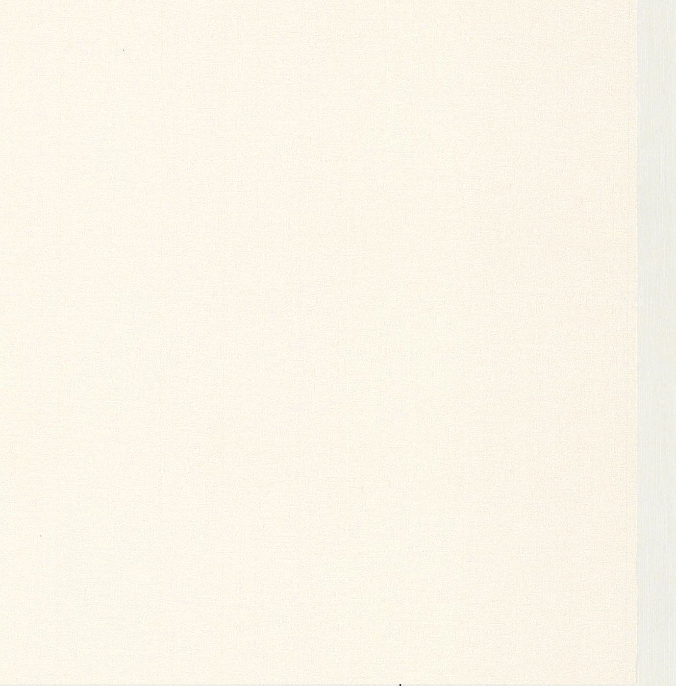 Papier Peint Expansé sur Papier - Toilé - Blanc