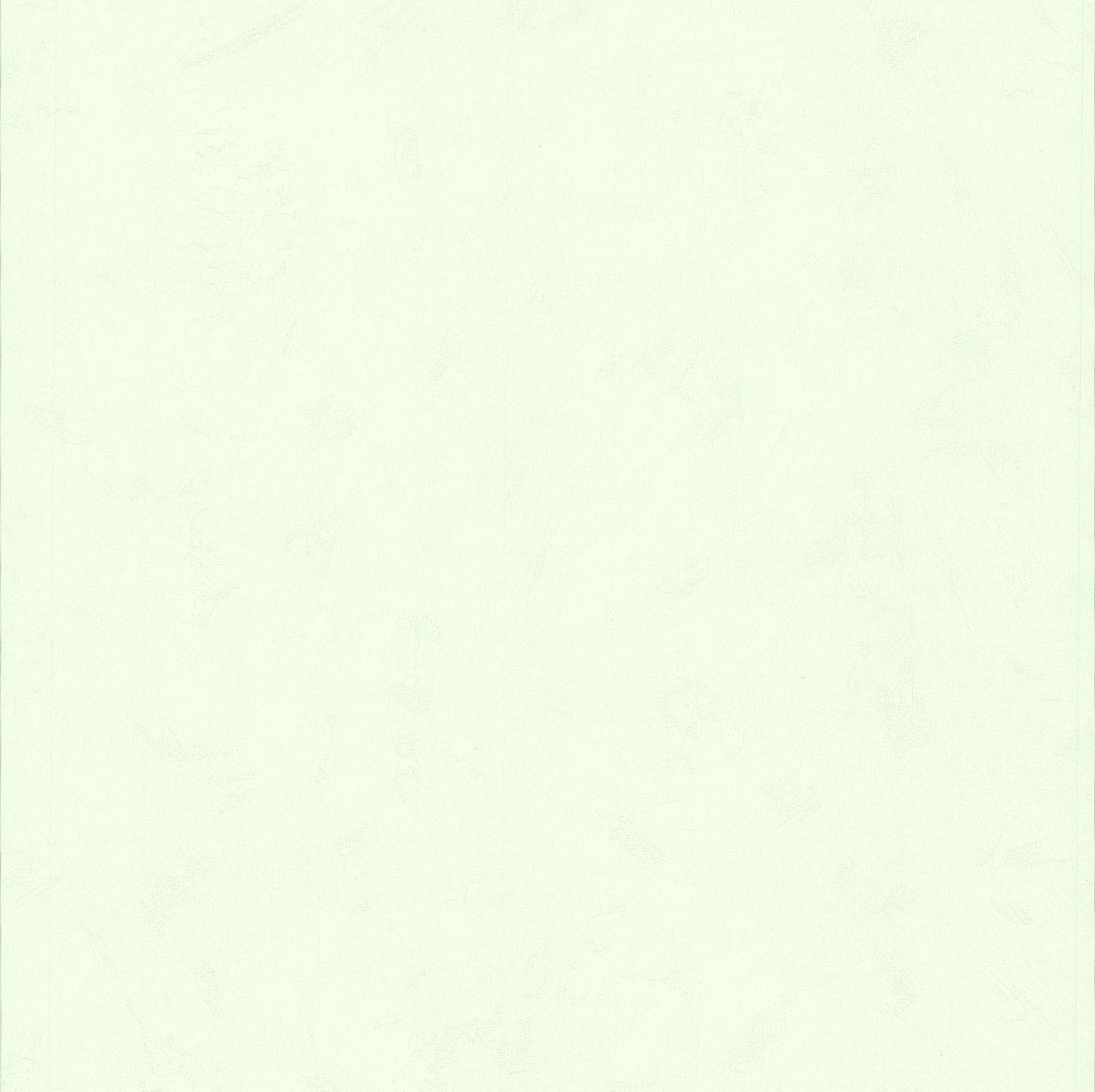 Papier Peint Expansé sur Papier - Uni - Blanc